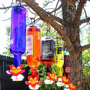 Turn Your Own Recycled Bottles Into the Best Hummingbird Feeder