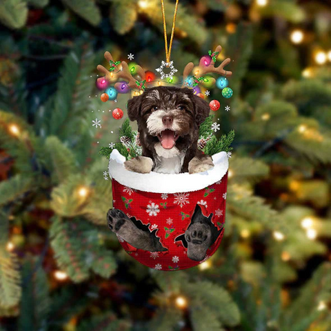 Havanese In Snow Pocket Christmas Ornament SP093