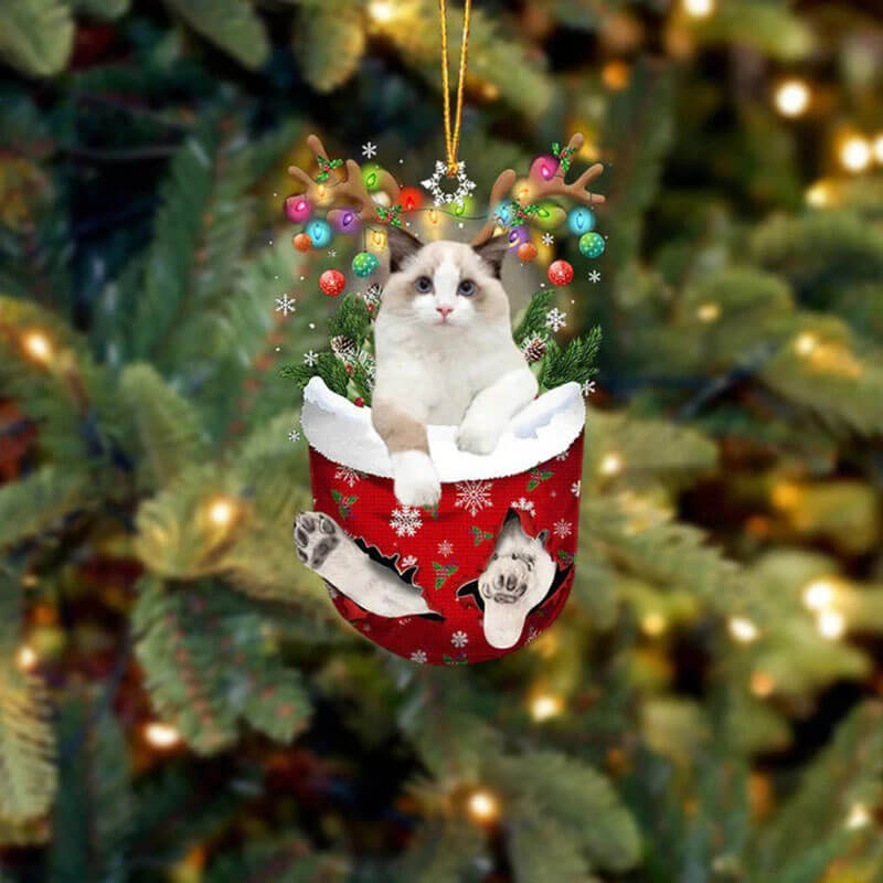 Ragdoll Cat In Snow Pocket Christmas Ornament SP153