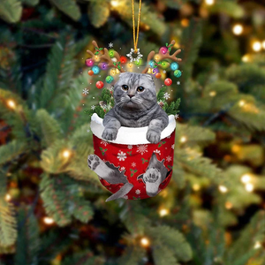 Scottish Fold Cat In Snow Pocket Christmas Ornament SP199