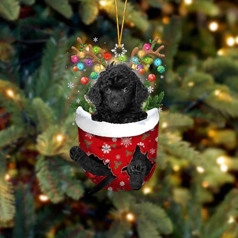 Toy Poodle In Snow Pocket Christmas Ornament SP222