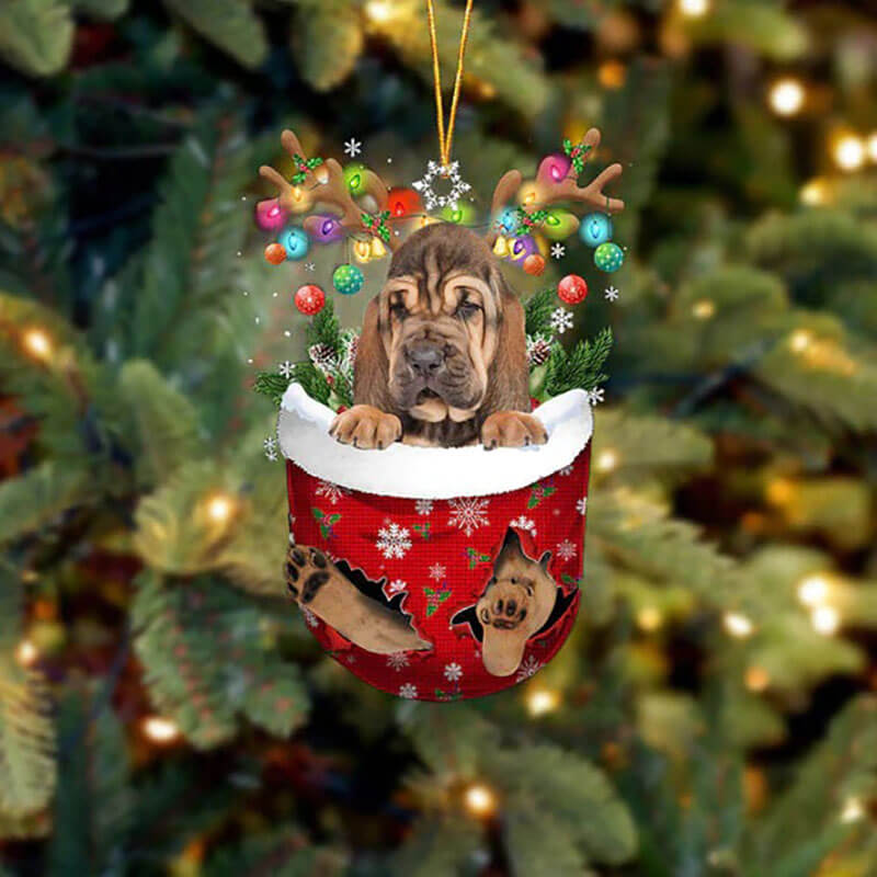 Bloodhound In Snow Pocket Christmas Ornament SP223