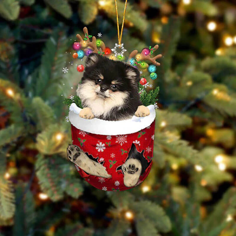 Pomeranian In Snow Pocket Christmas Ornament SP266