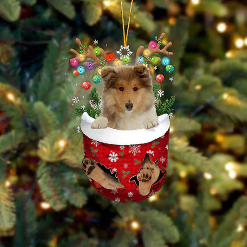 Rough Collie In Snow Pocket Christmas Ornament SP269