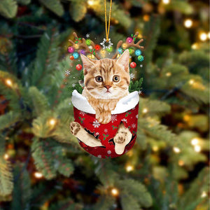 Cat In Snow Pocket Christmas Ornament SP291