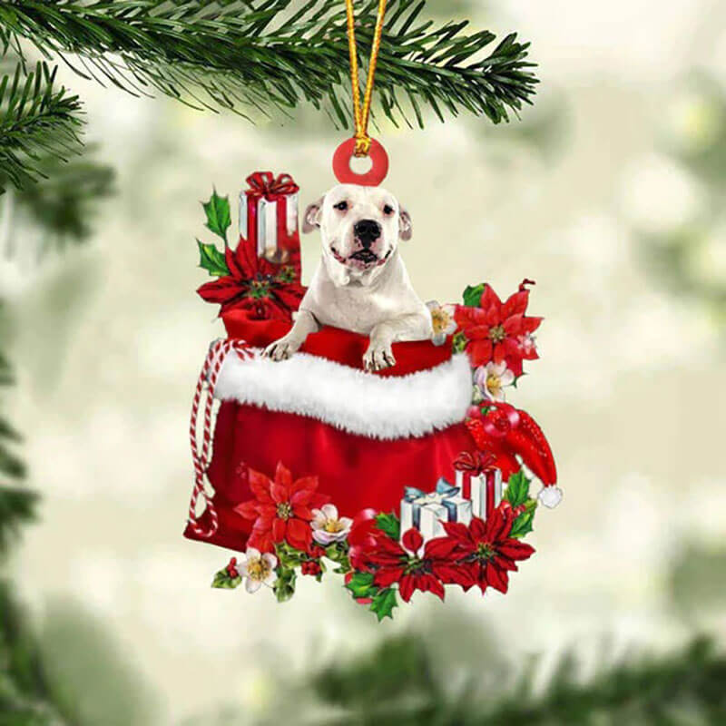 Dogo Argentino In Gift Bag Christmas Ornament GB025