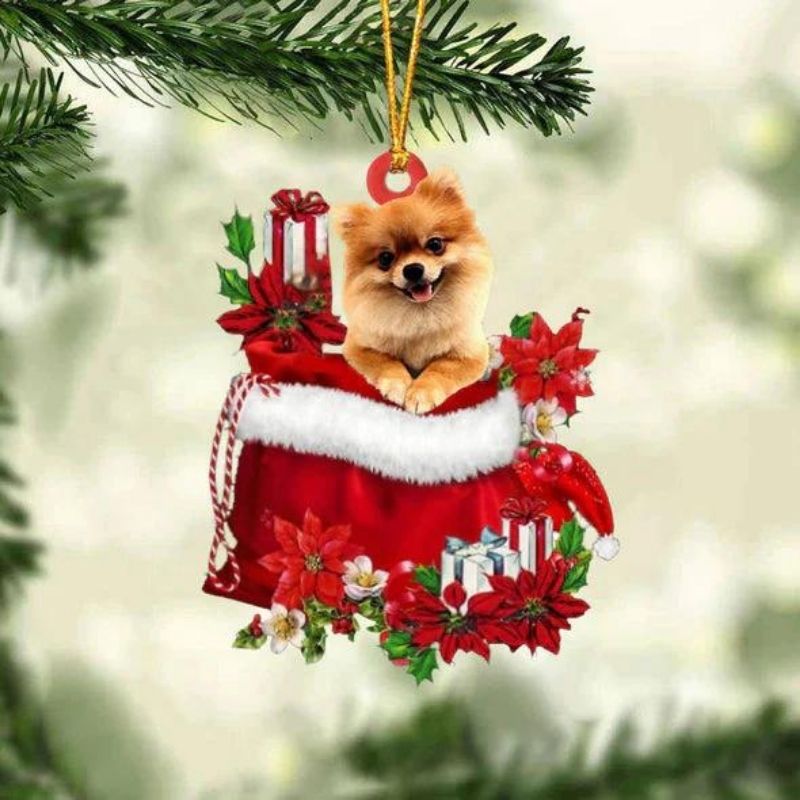 Pomeranian In Gift Bag Christmas Ornament GB056