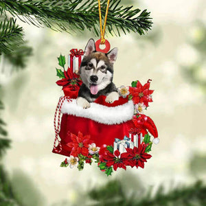 Alaskan Malamute In Gift Bag Christmas Ornament GB096