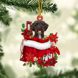 Schnoodle In Gift Bag Christmas Ornament GB126