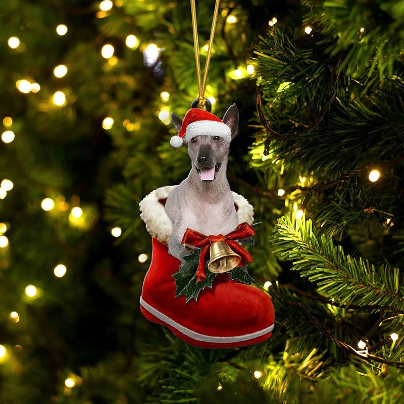 Xoloitzcuintli In Santa Boot Christmas Hanging Ornament SB207